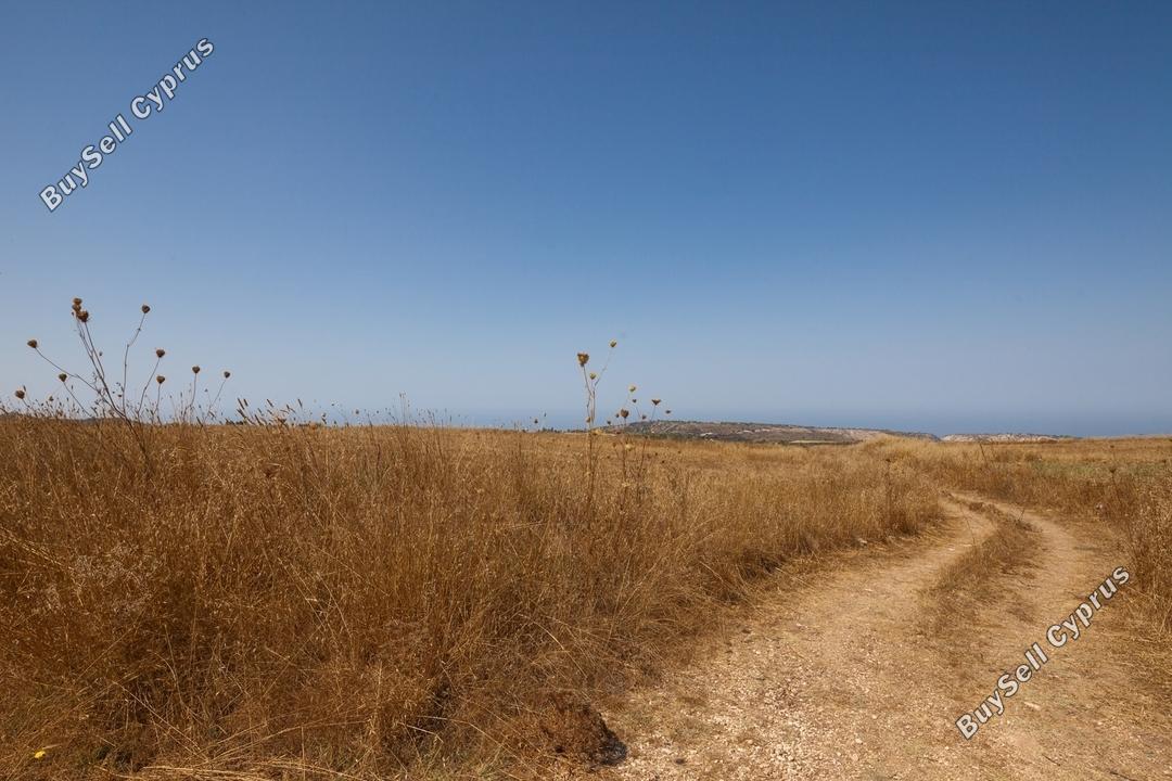 Ziemia w rejonie Paphos (836493) na sprzedaż